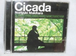 画像1: Cicada　槇原敬之  CDアルバム