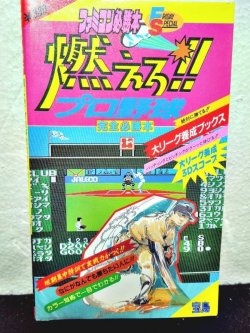 画像1: 燃えろ!!プロ野球完全必勝本 ファミコン必勝本・フライデースペシャル