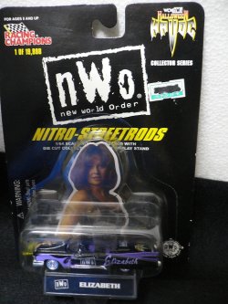 画像1: nWo ELIZABETH　NITORO-STREETRODS