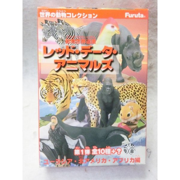 画像1: レッド・データ・アニマルズ第1弾　No.8カリフォルニアコンドル (1)