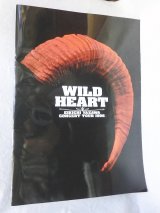 画像: 矢沢永吉 1996 WILD HEART コンサートパンフレット