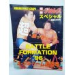 画像1: NIKKAN SPORTSGRAPH　爆闘プロレススペシャル　BATTLE　FORMATION '96　4・29東京ドーム速報号 (1)