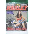 画像1: カスタムスピリッツ TOEN MOOK No,17 (I LOVE HARLEY ハーレーを愛する人たちへ) (1)